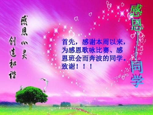 关于感恩社会的作文合集5篇