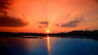 半江瑟瑟半江红什么意思，半江瑟瑟半江红描写的是什么景象