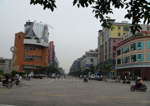 陈村镇职业技术学校，陈村镇领导班子人员名单