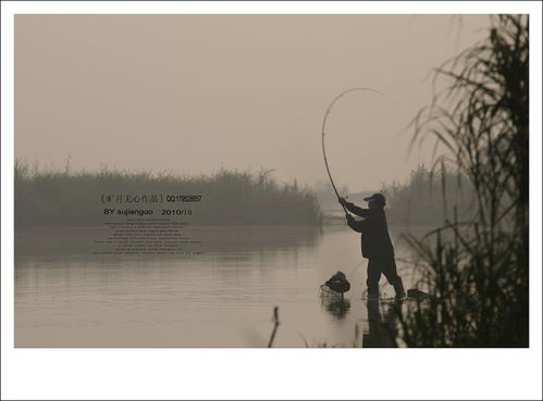 静听刀郎，静听雨落,默度凡尘