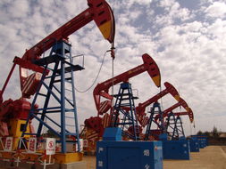 油井占用耕地如何赔偿，油井工作原理