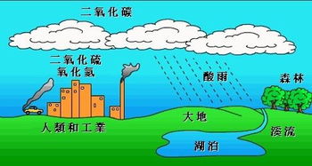 酸雨图片高清，酸雨图片素材