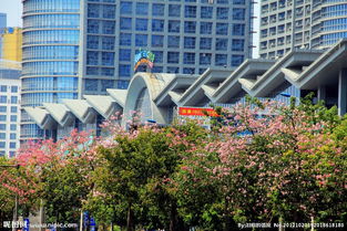 绿城南宁称号的由来，绿城南宁歌曲