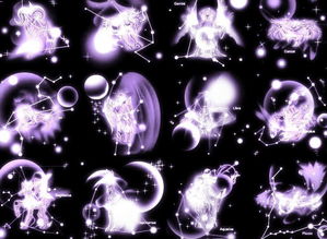 十二星座长什么样子图片