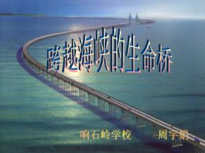 跨越海峡的生命桥主要写了什么，跨越海峡的生命桥阅读题