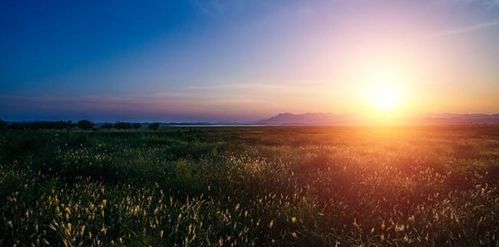 温暖的反义词是什么? 标准答案，暖的反义词是什么