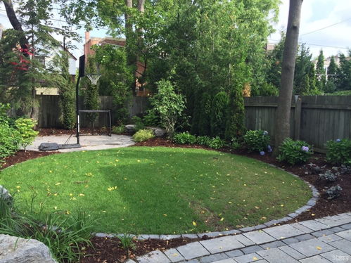 patio翻译，pations耐心