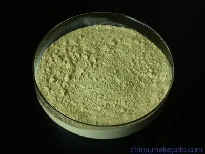 碳酸钙是什么的成分