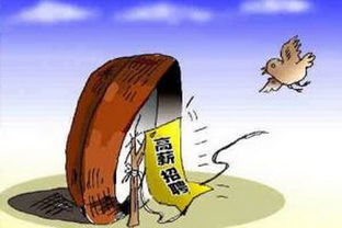 择业期是几年，择业期