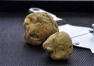 白松露菌提取物，白松露菌提取物的护肤功效