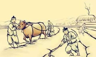“勤劳”是什么意思?