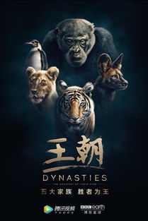 dynasties中文翻译，Dynasties and Dystopia翻译