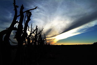 遇事只能问苍天是什么意思