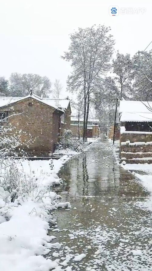 瑞雪丰年下一句是什么，瑞雪丰年近义词