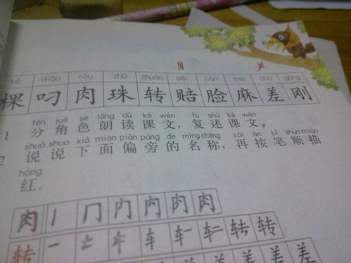 们组词一年级，偿组词