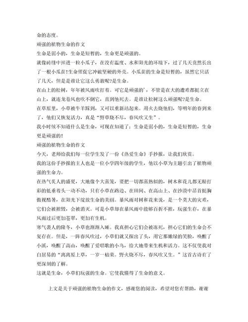 仙人掌优秀作文