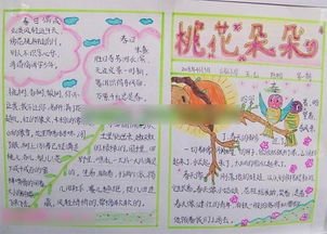 桃花手抄报简单又漂亮，桃花手抄报的画法 简单