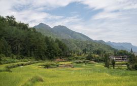 千岛湖天气预报一周千岛湖天气预报一周7天