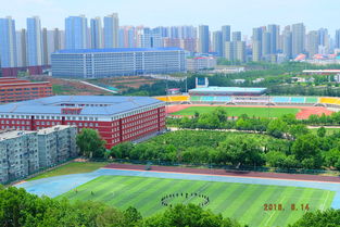 河北东北大学秦皇岛分校属于哪个街道