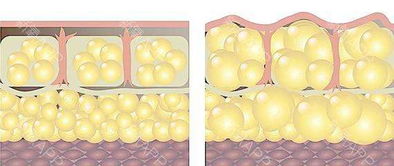 脂肪造句10个字，脂肪造句短一点