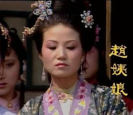 姨娘是什么意思