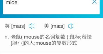 dance怎么读，fat mice怎么读