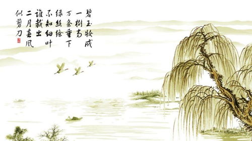 咏柳的全诗译文