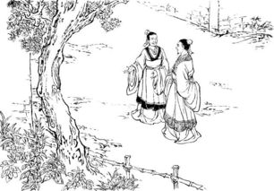 岐路亡羊文言文翻译