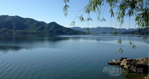 易县天气预报15天查询结果，攀技花米易县天气