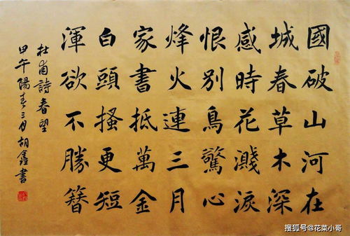 春望杜甫翻译和注释，春望杜甫翻译及原文