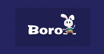 BORO的日文、、是笨蛋么?