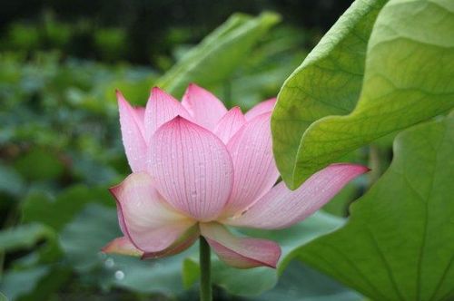 轻柔的近义注教诲的近义词是什么视的近义词是什么词是什么