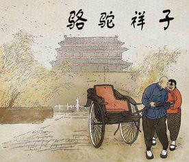 骆驼祥子讲了什么内容50字，骆驼祥子讲了什么事情