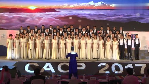 欢乐颂合唱歌词，欢乐颂合唱街头视频