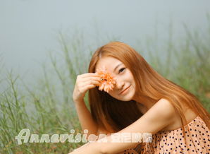 sunshine是什么意思