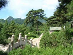 七王坟村公墓价格表，七王坟村公墓电话