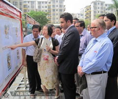 带economic的单词以及意思