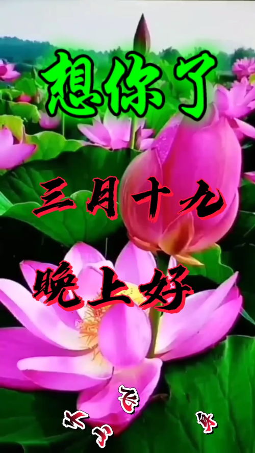 三月十九是什么日子?