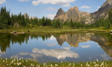 寒假生活总结的作文