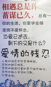 逝去的爱已，爱已逝去mp3非主流说唱