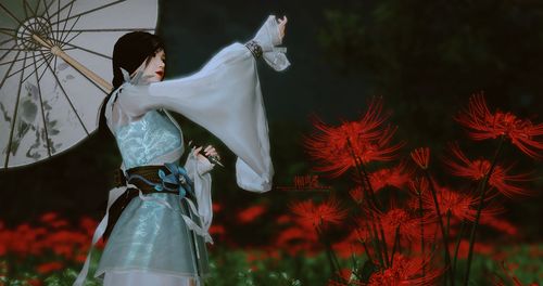 惊鸿一瞥啥意思