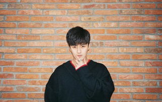 赵彦国，赵彦峰