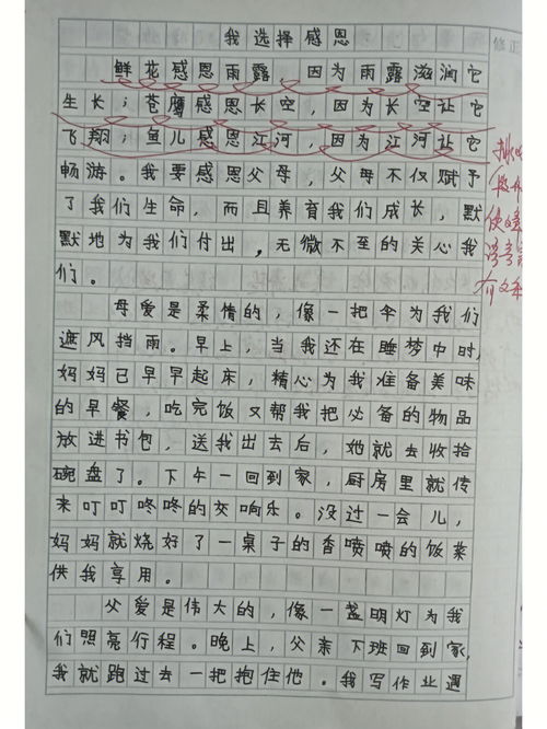 初三记叙文700字作文大全，随笔700字作文大全
