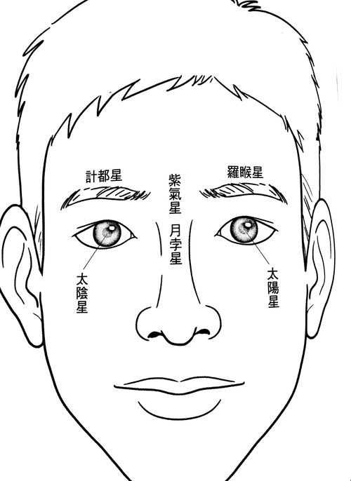 觑什么意思怎么读