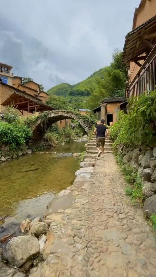 流水人家是成语么，老藤枯树昏鸦小桥流水人家