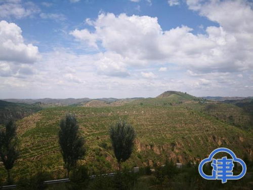 生态林是什么意思，生态林和公益林的区别