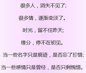 怎么忍心放开手山野，怎么忍心放开手歌词含义