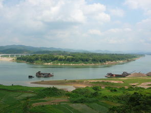 桂江小学，桂江一中2023中考成绩