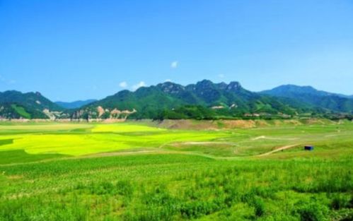 青海青山造句，青山造句子一年级简单短的