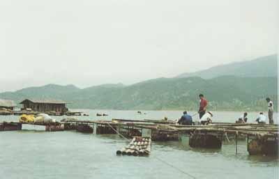 覃塘天气预报15天查询，覃塘天气预报下雨吗